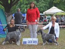 stela20