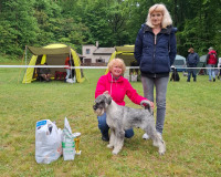 xtreme_bispuppybrno