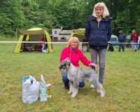 xtreme_bispuppybrno