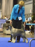jama09