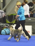 jama11