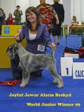 jawar06