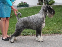 kay47