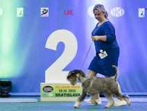 kismet11
