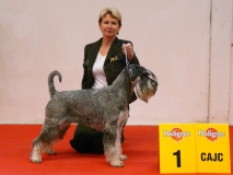 nesi07