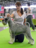 nesi12