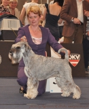 nesi14