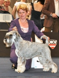nesi24