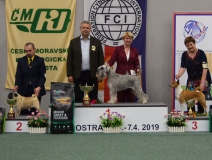 nesi29