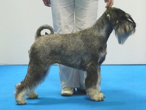 lola26