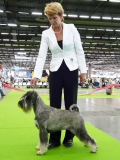 lola29