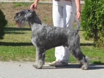 madox07