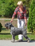 madox21
