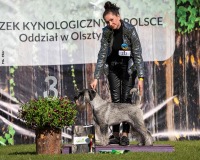 nebojsa12