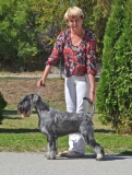 noreen7