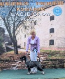 norma28