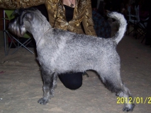 ody09