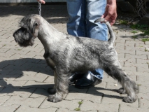 ondi06