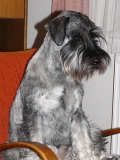 ondi09