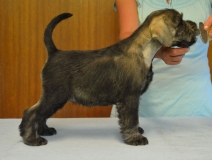 wendy27