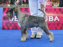 quen10
