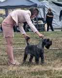 quenny2