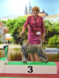 ras13