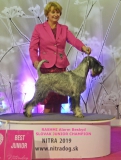 ras15