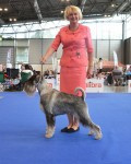 t1719738121_shaman_cacib