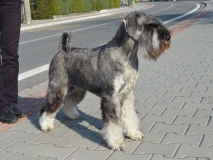 sirael06