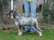 sirius01