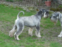 sirius05