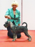 viv7