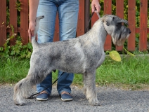 whisky02_profil