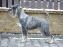wicka08