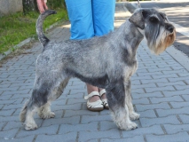 zafira10