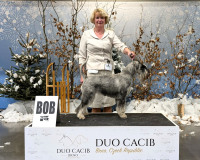 Zara_duocacib
