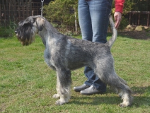 zbojnik03