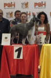 zenith10