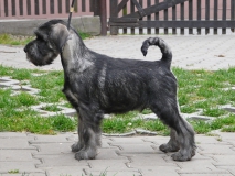 zeus01