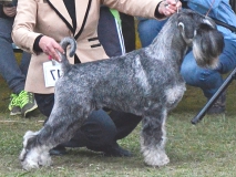 zig42