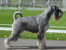 zooey02Profil